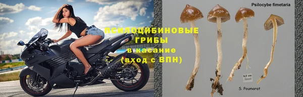 прущая мука Армянск