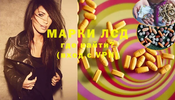 ПСИЛОЦИБИНОВЫЕ ГРИБЫ Арсеньев