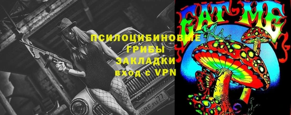 ПСИЛОЦИБИНОВЫЕ ГРИБЫ Арсеньев