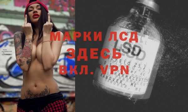 ПСИЛОЦИБИНОВЫЕ ГРИБЫ Арсеньев