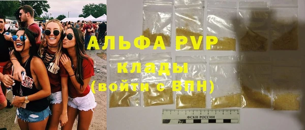 ПСИЛОЦИБИНОВЫЕ ГРИБЫ Арсеньев