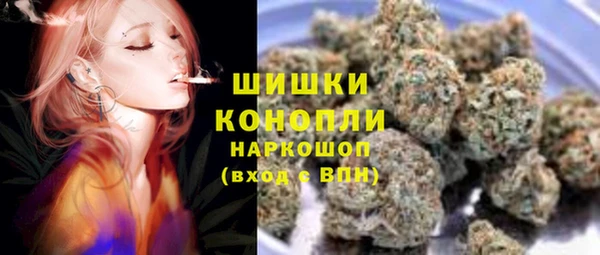ПСИЛОЦИБИНОВЫЕ ГРИБЫ Арсеньев
