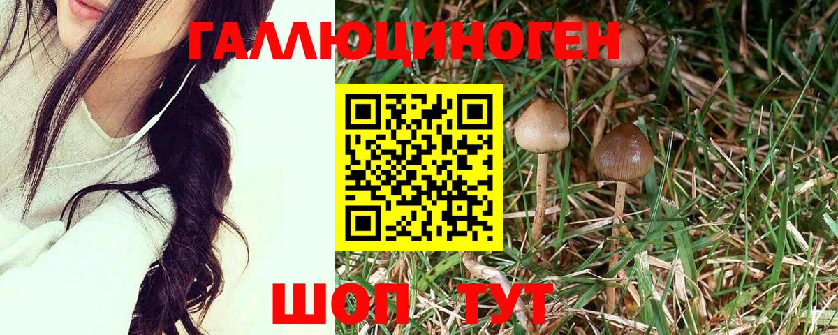 Псилоцибиновые грибы ЛСД Канаш