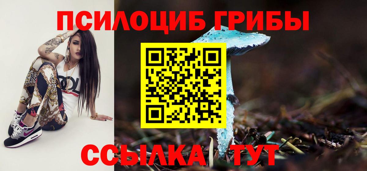 Галлюциногенные грибы мицелий  Вход с VPN  Канаш 